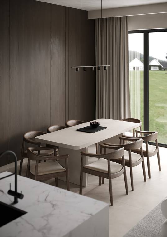 Lugano Apartment — living room & kitchen