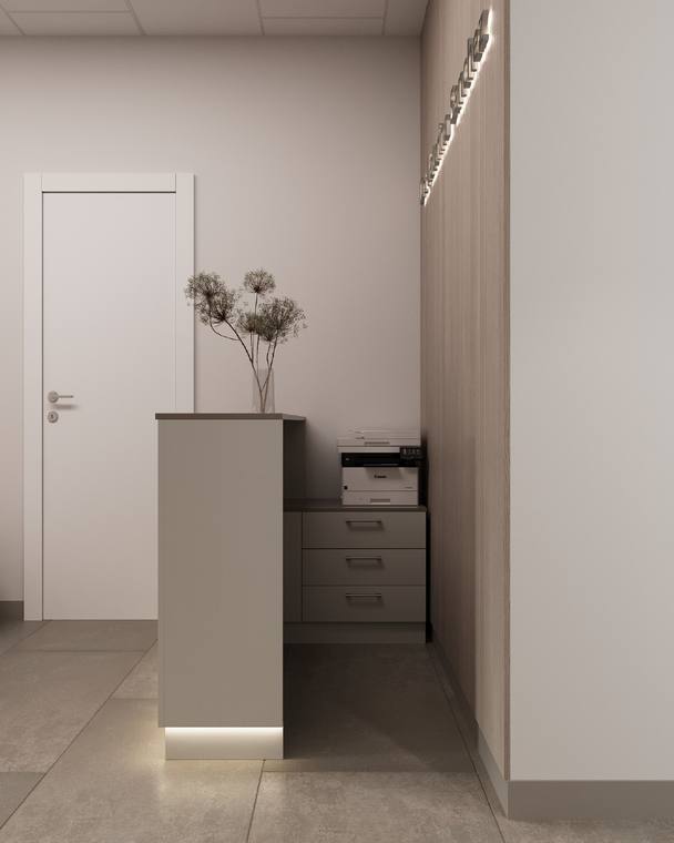 Aesthetic Medicine Clinic — entrance & reception